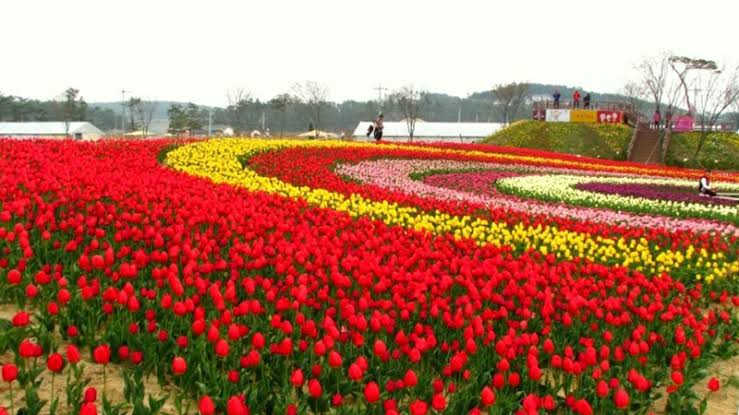 Korea in May 2027: Weather, Festivals, and Things to Do